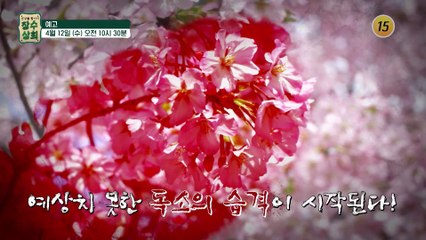 중년 건강을 되찾는 특별한 독소 해독법!_장수상회 37회 예고 TV CHOSUN 230412 방송