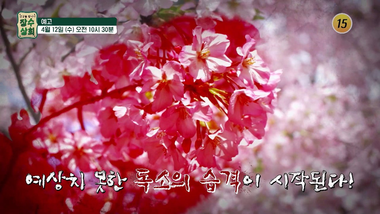 중년 건강을 되찾는 특별한 독소 해독법!_장수상회 37회 예고 TV CHOSUN 23...