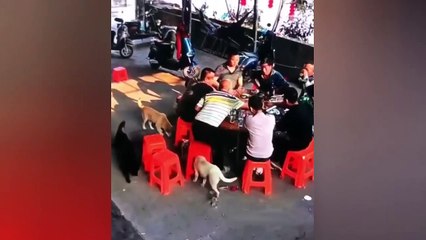 Instant Regret - Fails Compilation _  Fails Compilation