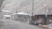 Van-Bahçesaray yolu kar yağışı nedeniyle ulaşıma kapatıldı