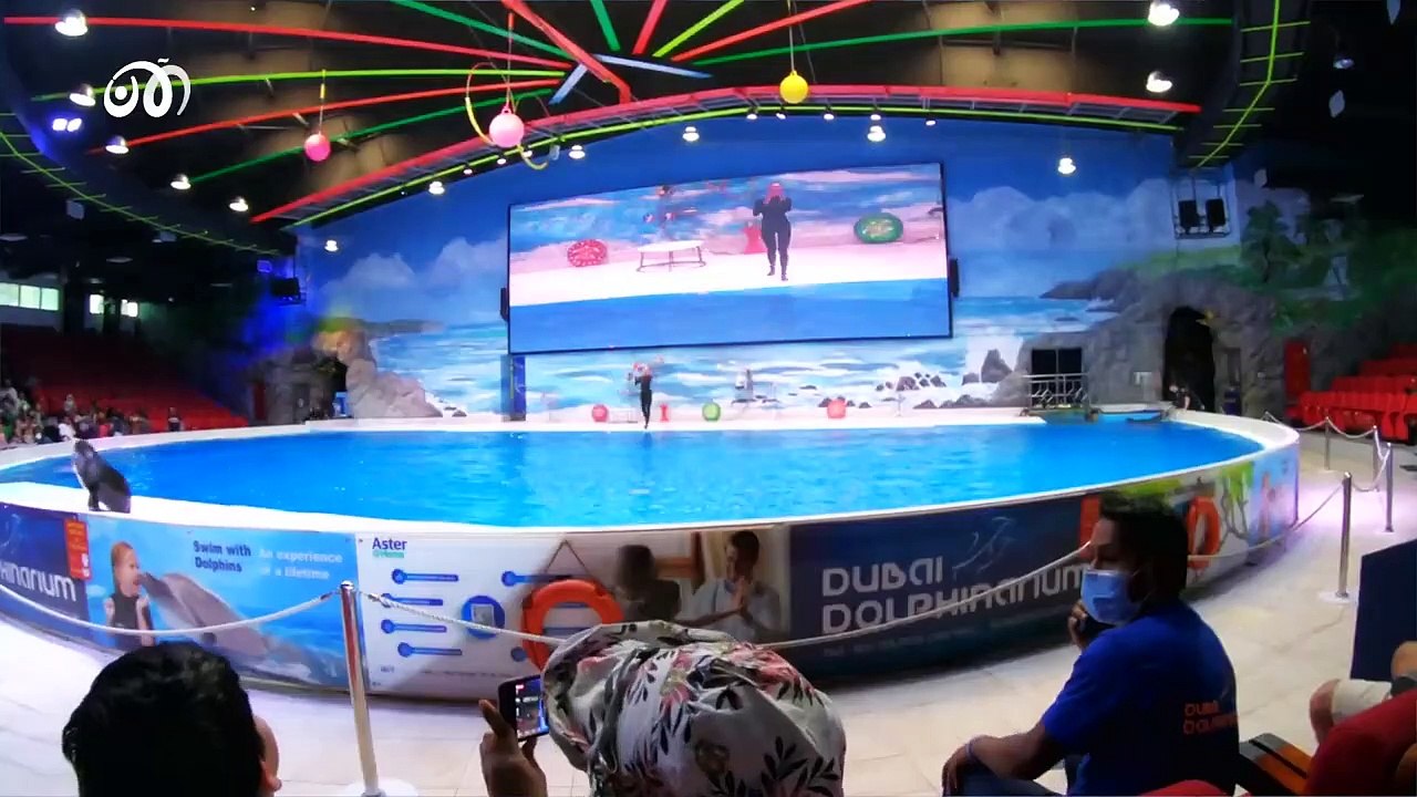 Drop The Pin 33 |  عرض الدلافين و الطيور في دبي و جولة مذهلة في اكبر سوق سمك في العالم العربي