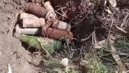 জলঙ্গি :দুটি ব্যাগ ভর্তি সকেট বোমা উদ্ধার সীমান্ত এলাকায়