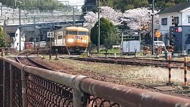 20220406_133929 その159 1731M No. 159, 1731 M.