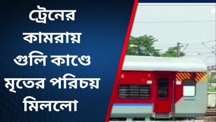 পরপর তিন রাউন্ড গুলি! ঝাঁজরা হয়ে গেলো ট্রেনের যাত্রী; মৃত, ....একাধিক আতঙ্ক