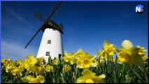 North west news update 12 April 2023: Windmill cordoned off after sails damaged