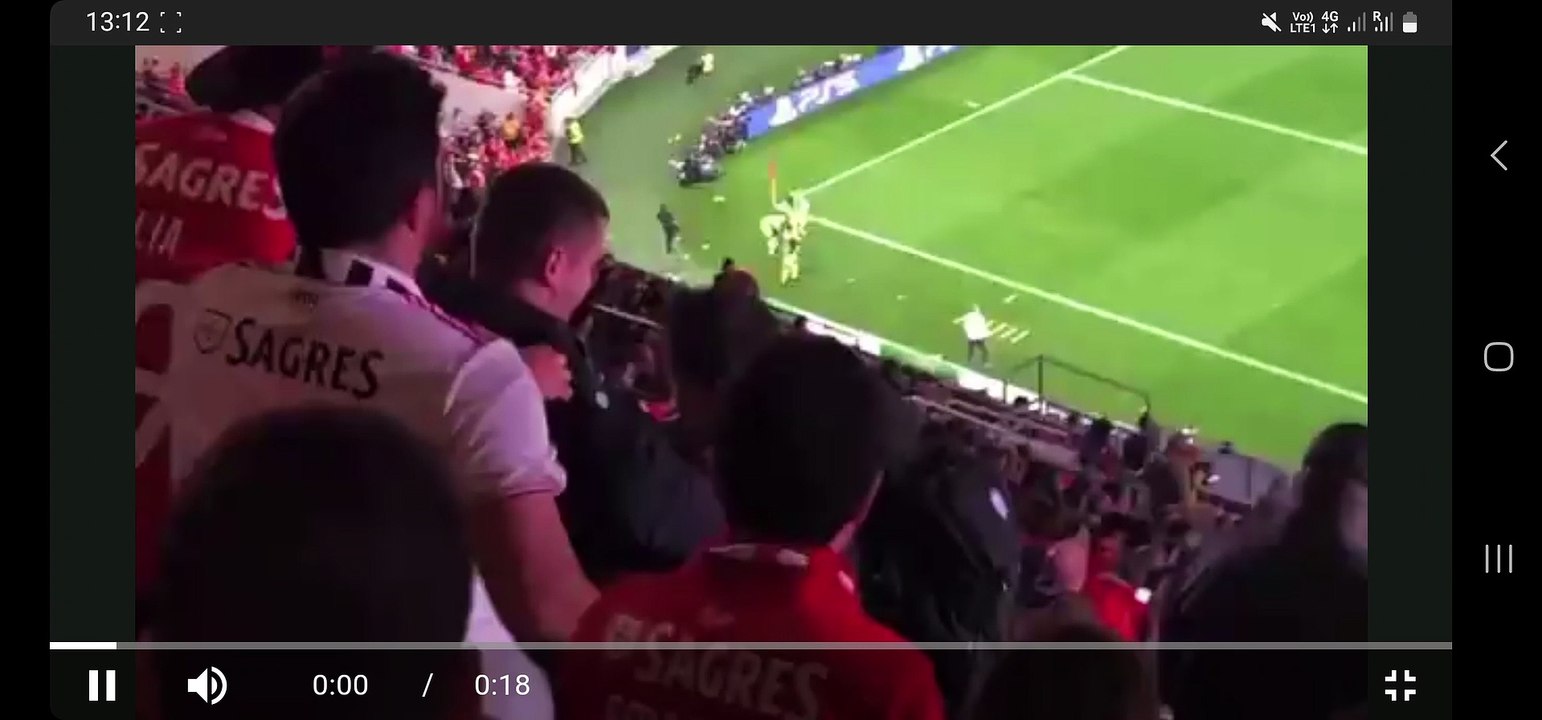 Adeptos Benfica