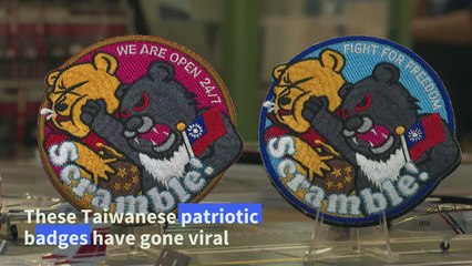 Punching Pooh: unofficial air force badge all the rage in Taiwan