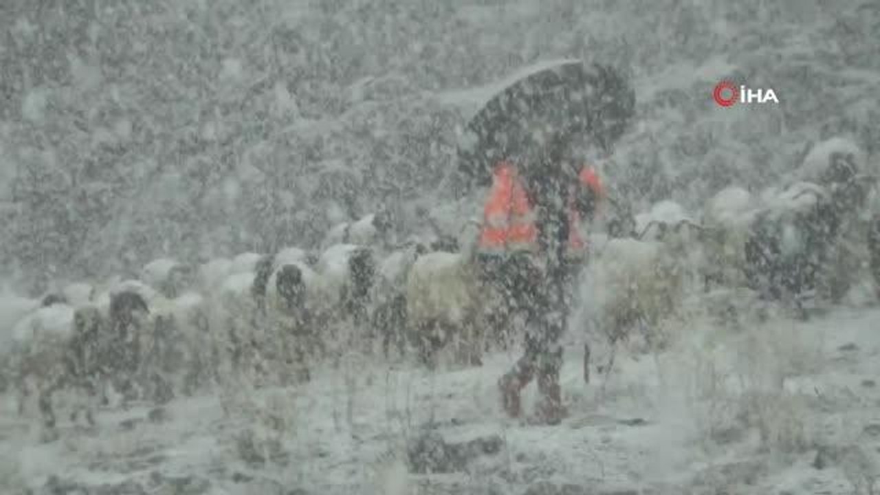Yüksek kesimlere yağan kar çobanlara zor anlar yaşattı
