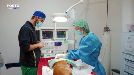 Veterinários Todo o Terreno, Episódio 23