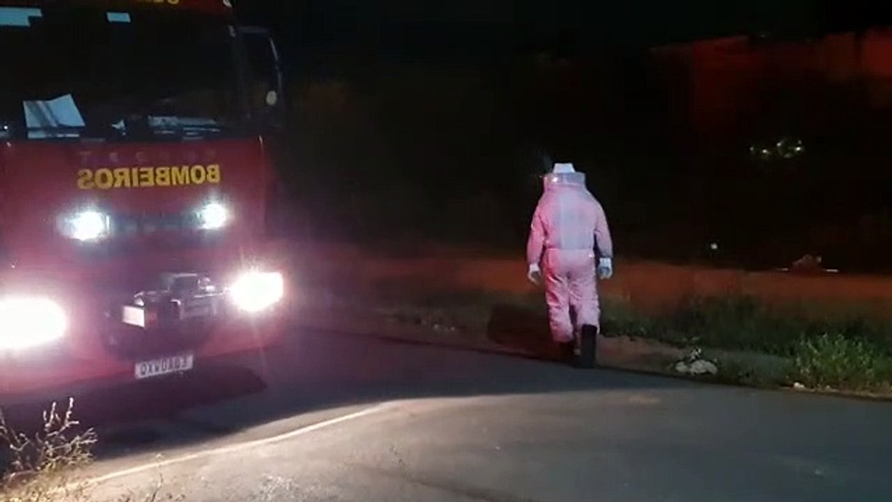 Corpo de Bombeiros captura enxame de abelhas em Montes Claros