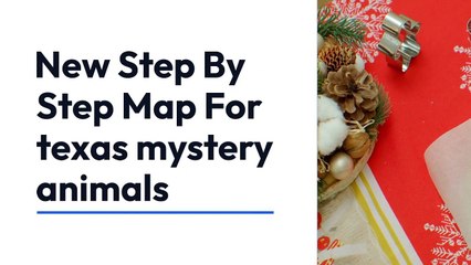 New Step By Step Map For texas mystery animals