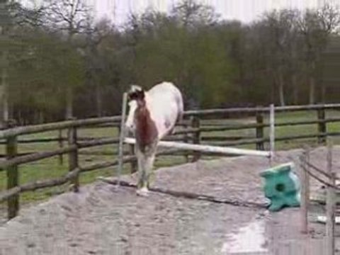 Puissance ac nos chevaux