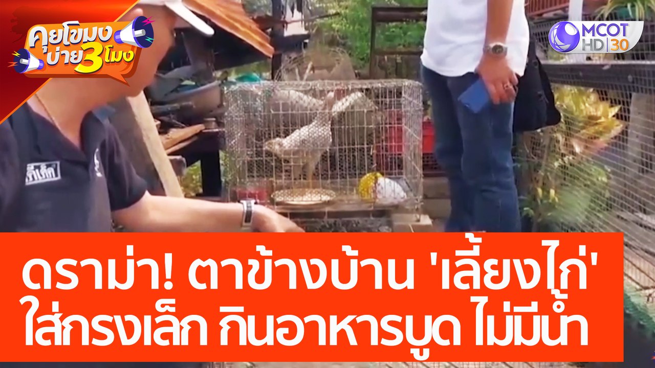 ดราม่า! ตาข้างบ้าน 'เลี้ยงไก่' ใส่กรงเล็ก กินอา...
