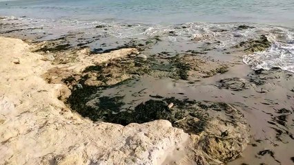 Dakar: La Plage de grand Mbao est très sale...alerte