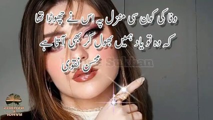 Wafa 2 Line Beauiful Poetry | Shayar k Name k Sath | Wafa Sad Poetry | Heart Touching Poetry