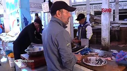 ارتفاع الإقبال على الأسماك بأسواق البيضاء خلال رمضان ومهنيون يشرحون أسباب الزيادات في الأثمنة