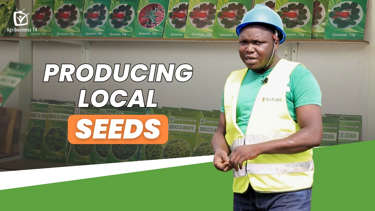 Benin: Producing local seeds