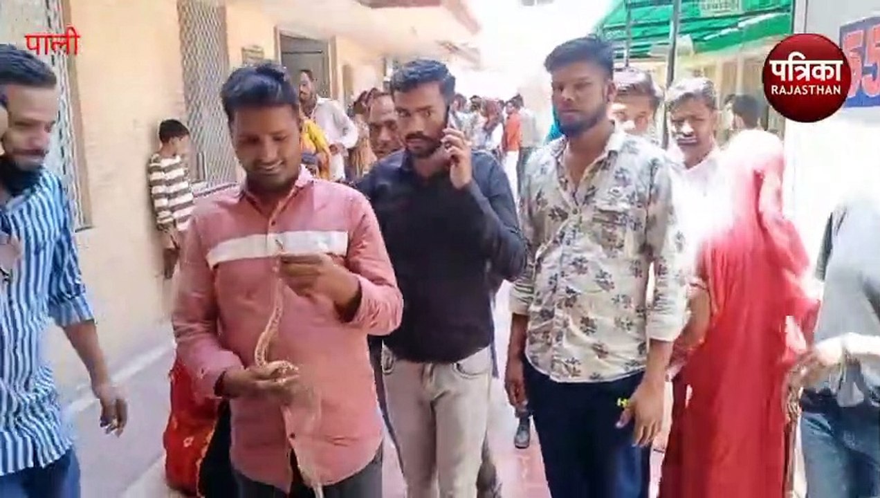 Watch Video : अस्पताल व सरकारी स्कूल में आया सांप, मचा हड़कंप