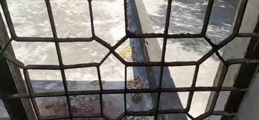 कलक्ट्रेट परिसर सहित विभिन्न शासकीय कार्यालयों में गुटखे के पीठ से लाल हुई दीवारें