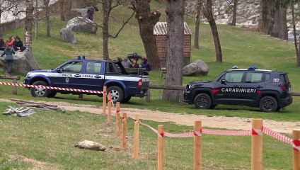 Trentino, le autorità locali: "Finché non sarà catturata l'orsa, sconsigliata ogni attività in parte della Val di Sole"