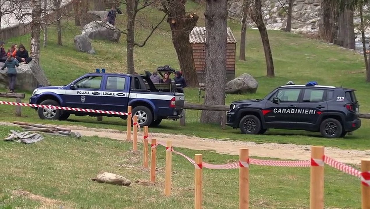 Trentino, le autorità locali: "Finché non sarà catturata l'orsa, sconsigliata ogni attività in parte della Val di Sole"