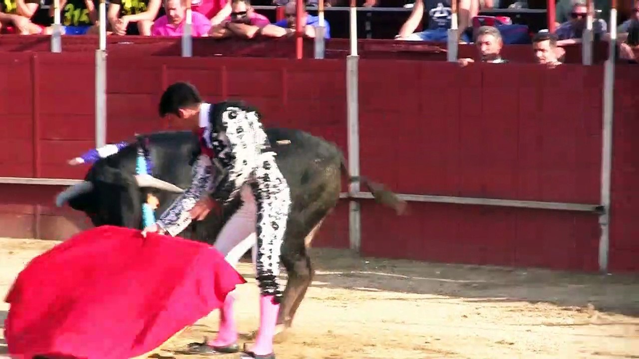 ALFONSO ALONSO MOMBELTRAN_2022 Vídeo Dailymotion