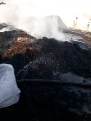 बिजली की चिंगारी से फसल हुई खाक