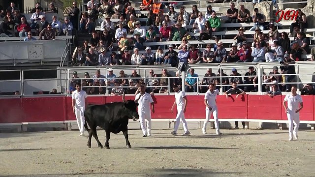 Octave N° 408 - manade CUILLE- Mandarin N°253- manade De MEJANES