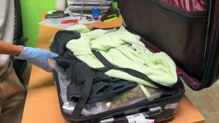 Arrestan norteamericano vinculado a recién desmantelada red de narcotráfico