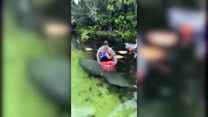 Drone Captures What No One Was Supposed To See