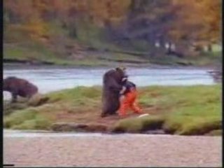 pub drole pour du saumon