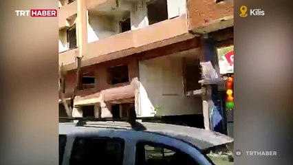 Kilis'te ağır hasarlı bina böyle çöktü