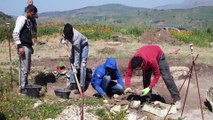 Scoperta la strada lastricata dell’antica Segesta, visite guidate agli scavi