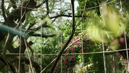 L'Odyssée de Pi - Bande Annonce VF HD