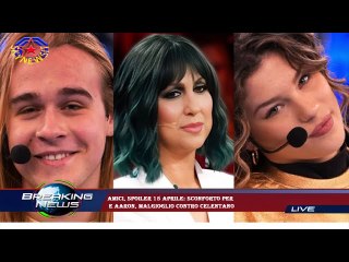 Amici, spoiler 15 aprile: sconforto per  e Aaron, Malgioglio contro Celentano