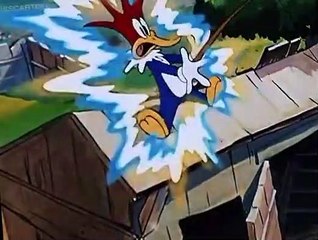 Woody Woodpecker Woody Woodpecker E025 – Solid Ivory