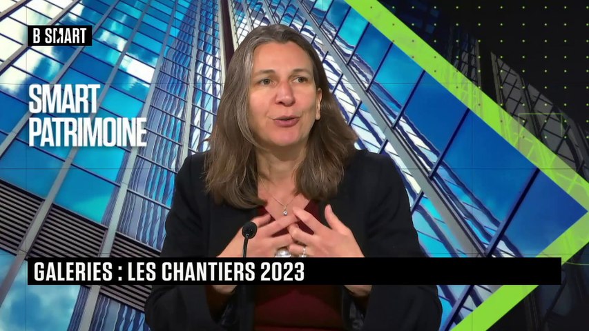 Les chantiers du comité professionnel des galeries 