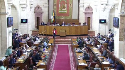 Una diputada de Adelante Andalucía vierte arena en el escaño vacío de Moreno por la ley que amenaza con secar Doñana