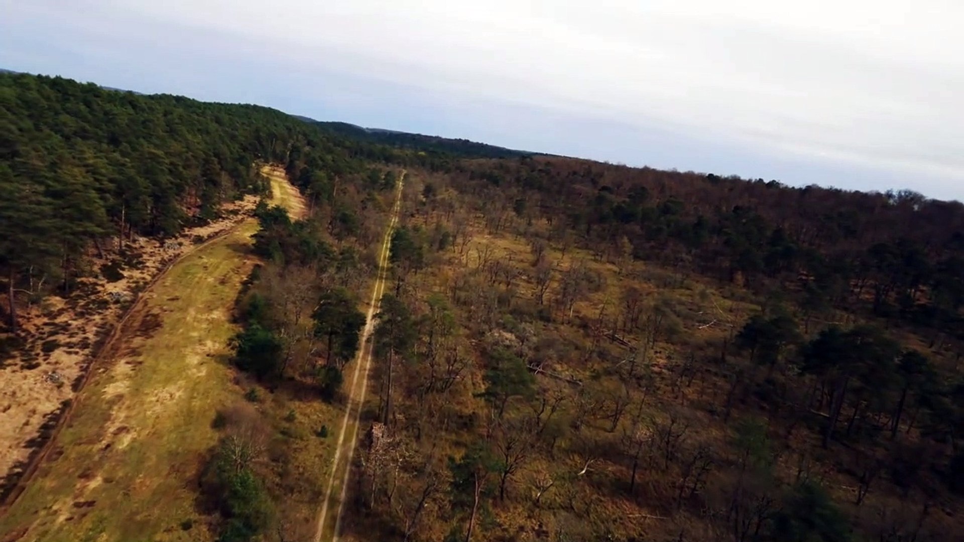 フォンテーヌブロー [4K]