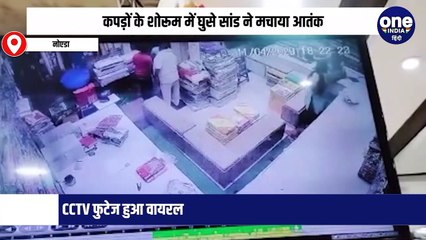 कपड़ों के शोरूम में घुसे सांड ने मचाया आतंक, CCTV फुटेज हुआ वायरल