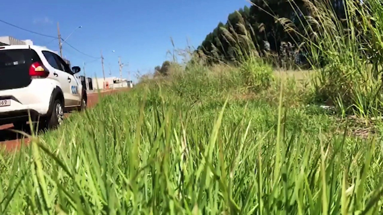 Mato toma conta no Bairro Tropical III e moradores pedem providências