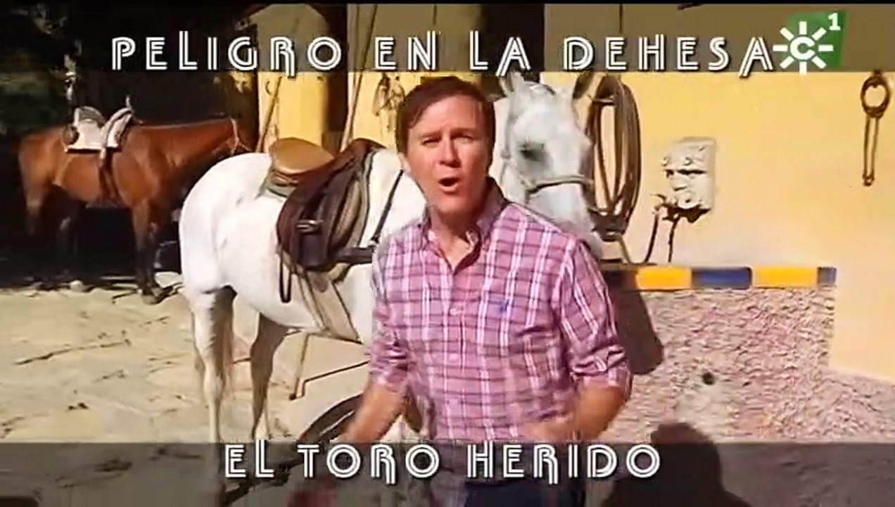 El toro enfurecido del Conde de la Maza