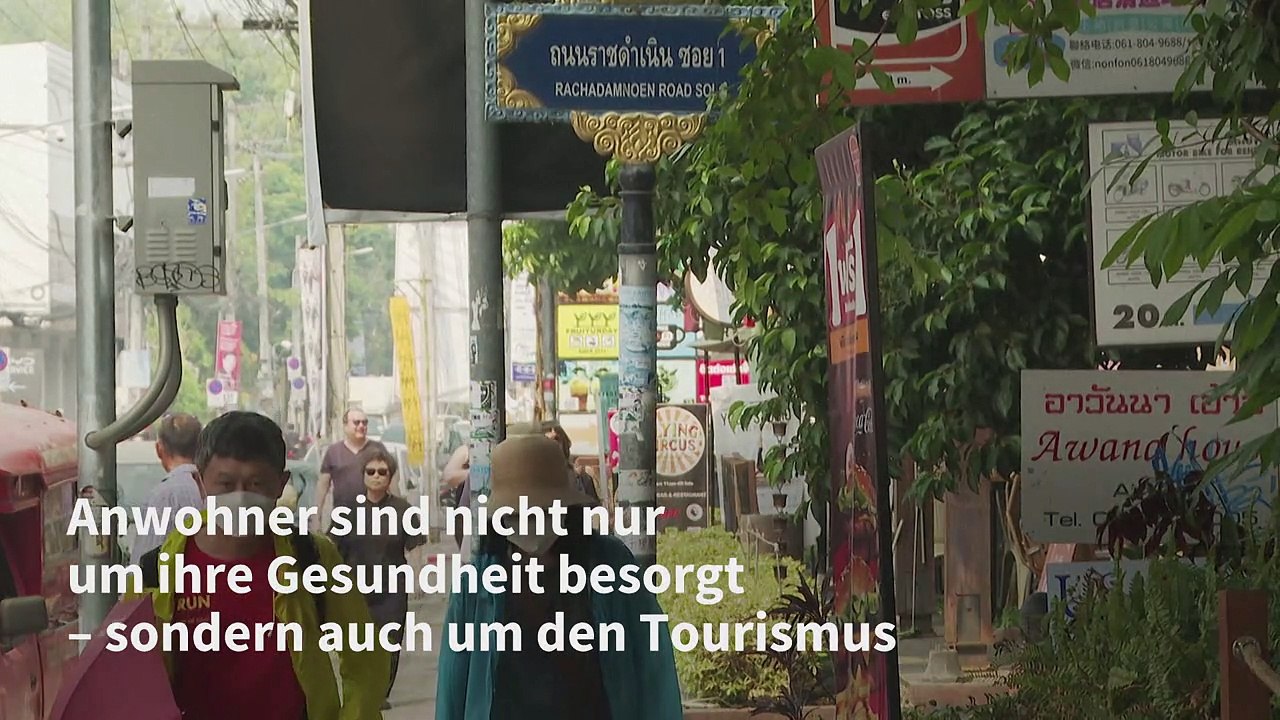 Smog in Chiang Mai: Luftverschmutzung sorgt Anwohner und Touristen