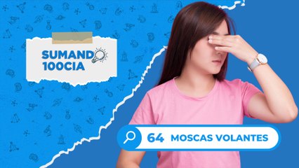 64 MOSCAS VOLANTES