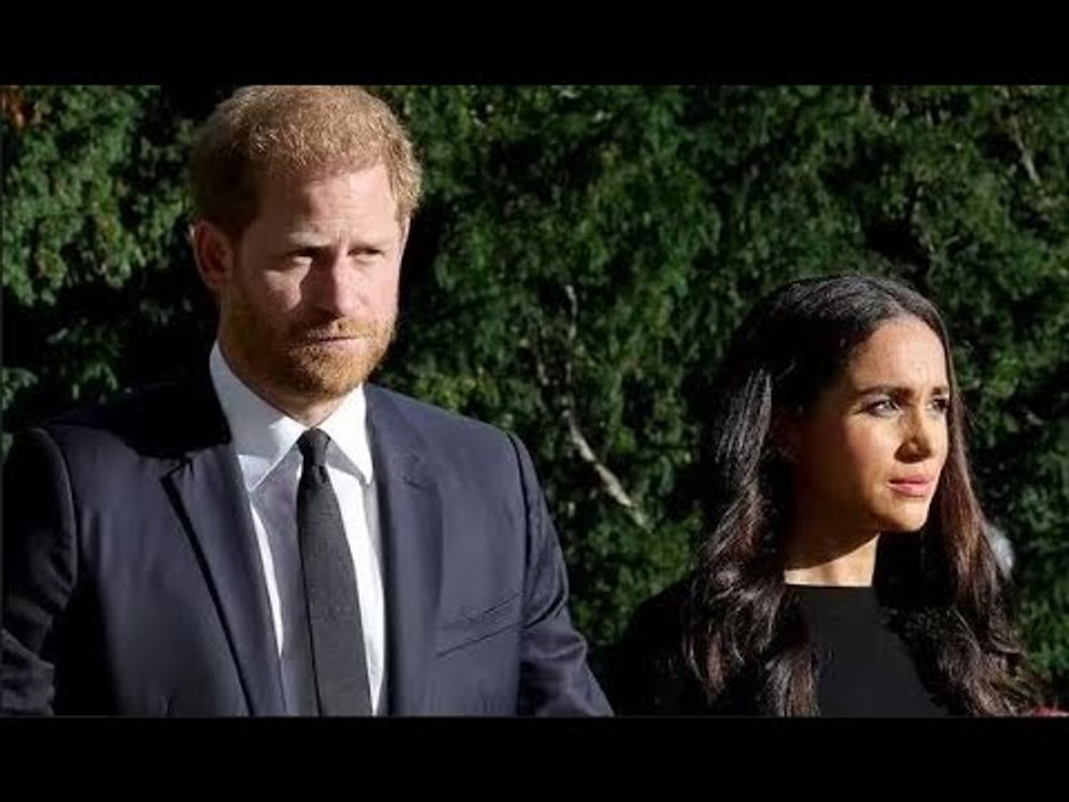 Harry "ha lottato con la vita come reale che lavora a tempo pieno" e ha visto "un futuro più luminos