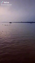 Duck Hunting setup Imran Bashir Tarar