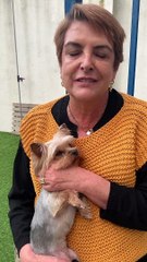 Luísa Castel-Branco