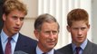 King Charles Reportedly Wanted Princes Harry and William to Have Completely Different Names