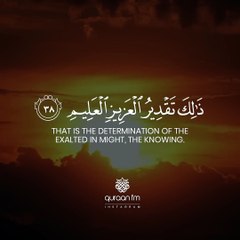 Surah Yaseen - Qari Tareq Mohammed - سورة يس - القارئ طارق محمد