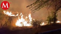 En Chiapas, miles de hectáreas han sido afectadas por incendio forestales